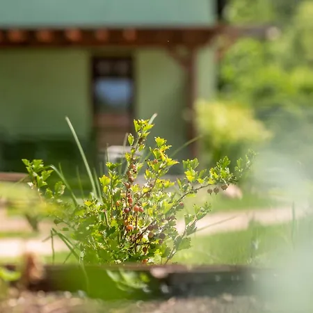 Spot Ferienhaus Wrzosowo (Kamien)