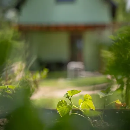 Semesterbostad Spot Wrzosowo (Kamien)