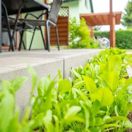 Spot Wrzosowo (Kamien)