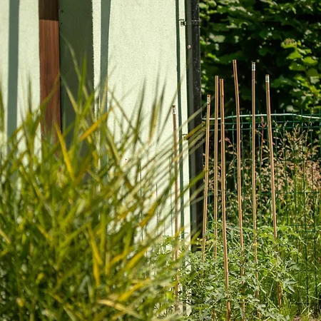 Spot Casa vacanze Wrzosowo (Kamien)