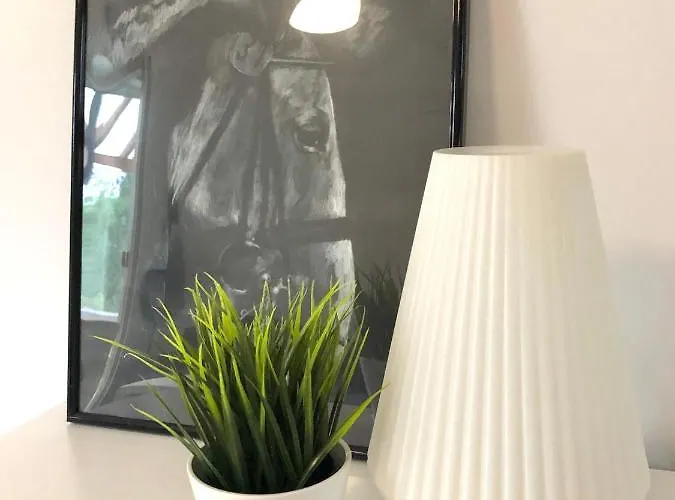 Spot Dom wakacyjny Wrzosowo (Kamien)