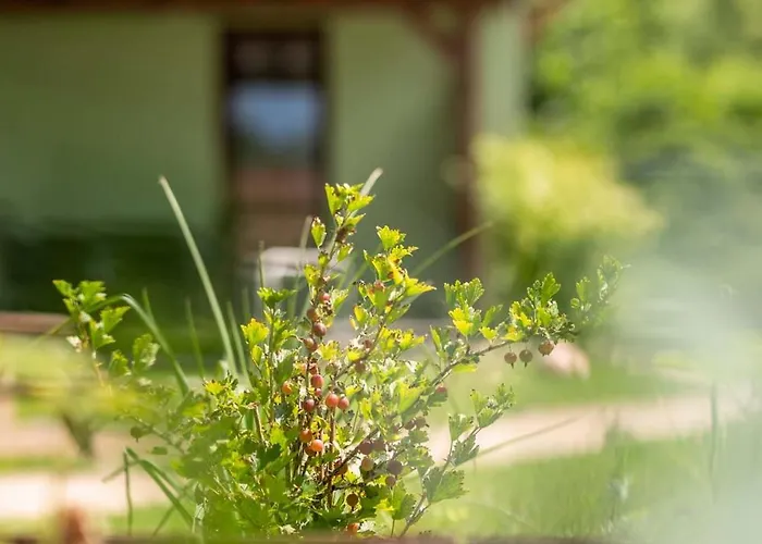 Spot 度假居 Wrzosowo (Kamien)