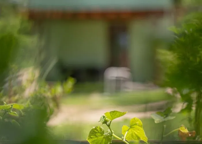 度假居 Spot Wrzosowo (Kamien)