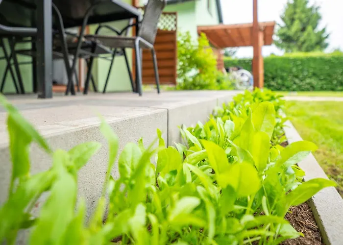 Spot Wrzosowo (Kamien)