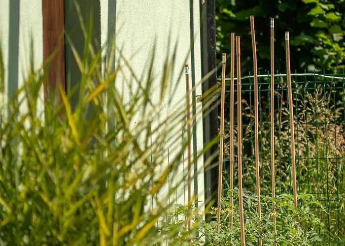 Spot Dom wakacyjny Wrzosowo (Kamien)